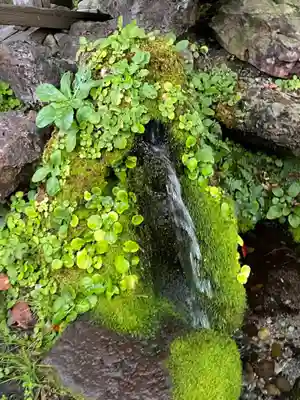 鳥海月山両所宮の手水舎