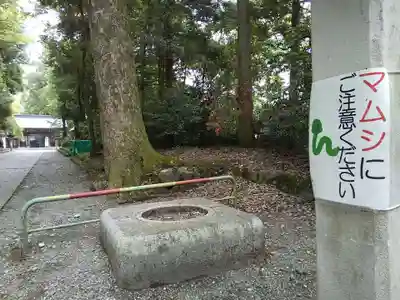 雄山神社前立社壇のその他建物