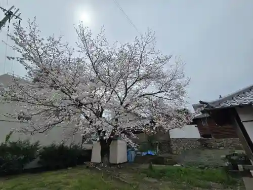 長寿寺(和歌山県)