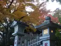 大山阿夫利神社の自然