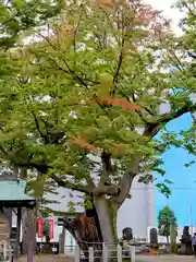 阿邪訶根神社(福島県)