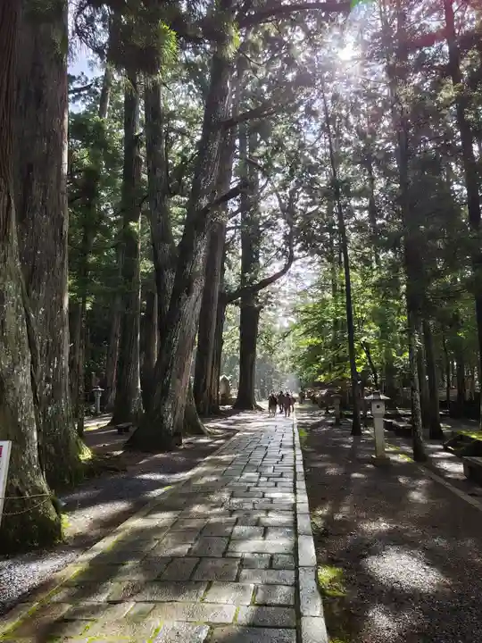高野山金剛峯寺奥の院(和歌山県)