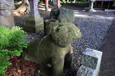 阿久津「田村神社」(郡山市阿久津町)旧社名:伊豆箱根三嶋三社の狛犬