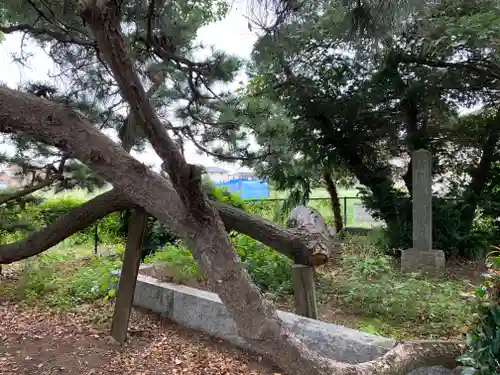 生品神社の自然