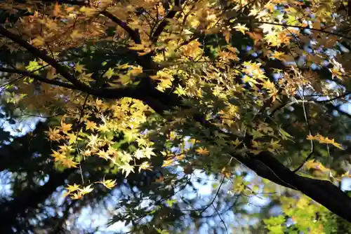 菅船神社の自然