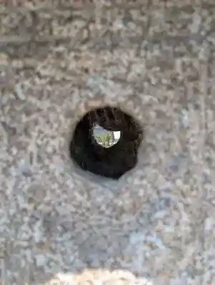 （芝生）浅間神社(神奈川県)