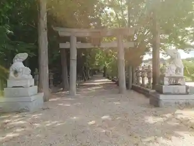 積田神社の狛犬