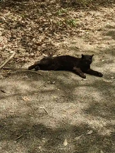 玉野御嶽神社の動物