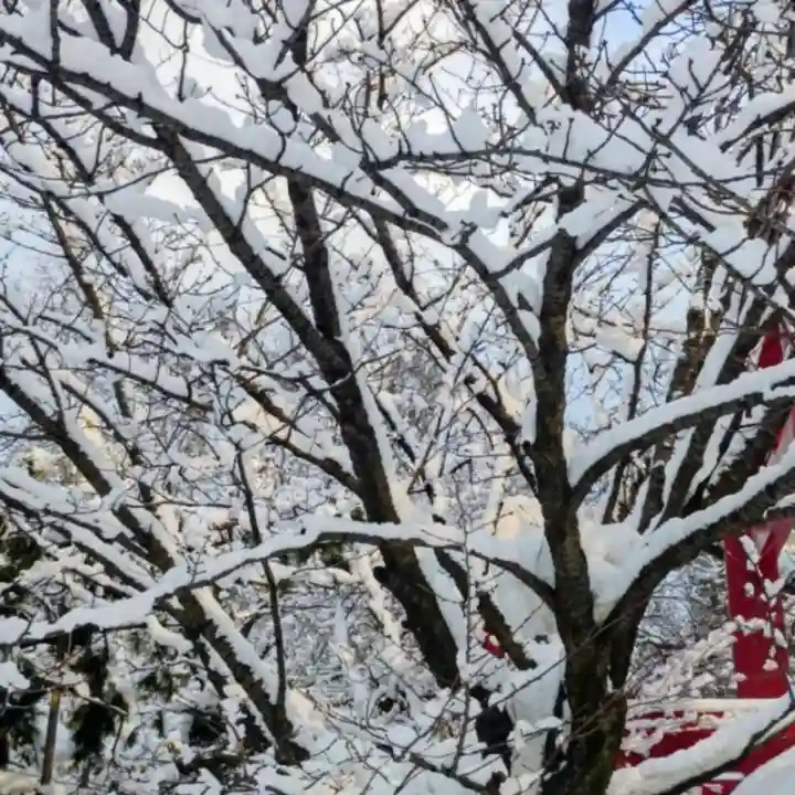 彌彦神社 (伊夜日子神社)(北海道)