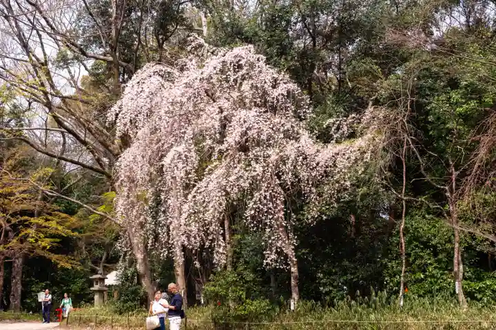 賀茂御祖神社(下鴨神社)(京都府)