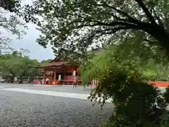 富士山本宮浅間大社(静岡県)