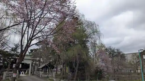 上川神社頓宮の鳥居
