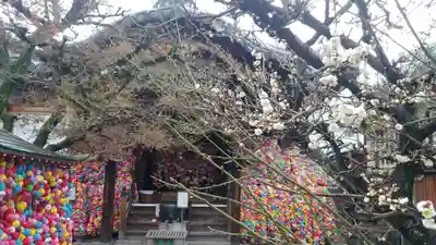 金剛寺（八坂庚申堂）のその他建物