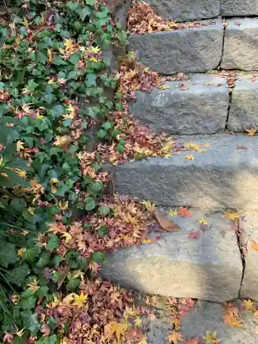  大岩山 最勝寺の自然