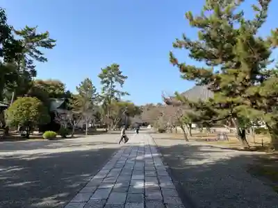 廣隆寺(京都府)