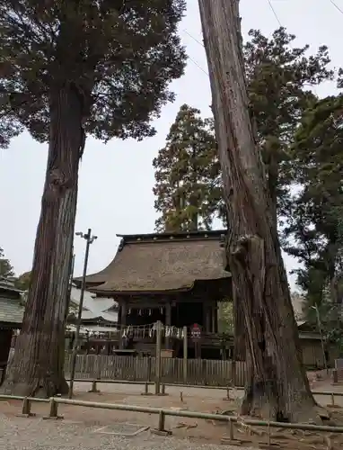 鹿島神宮(茨城県)