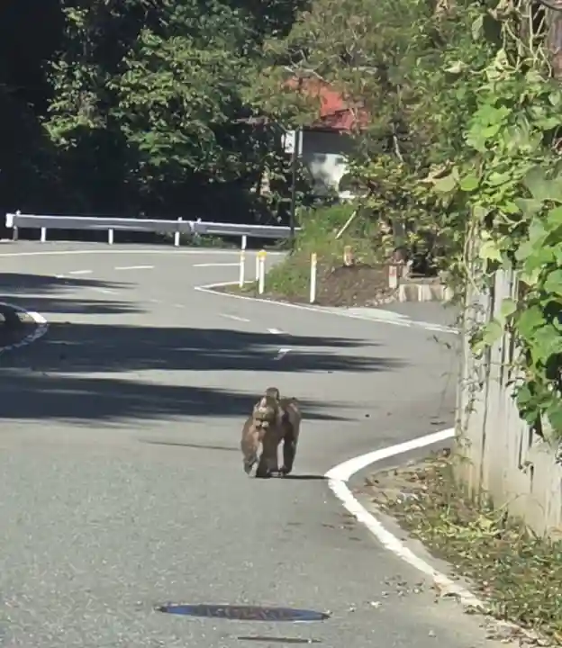 若松寺(山形県)