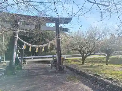 県神社(岐阜県)