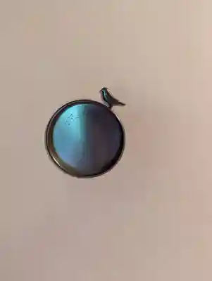 大雄院(京都府)