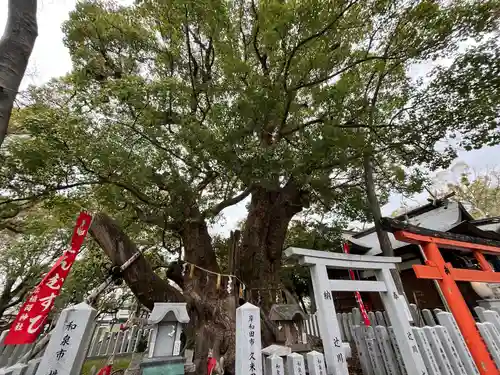信太森神社（葛葉稲荷神社）(大阪府)