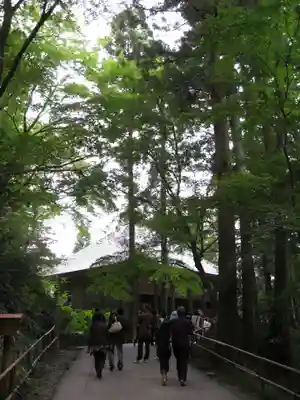 中尊寺金色堂(岩手県)