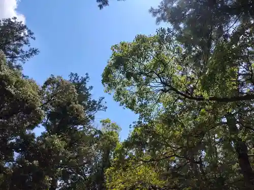 猿田彦神社の自然