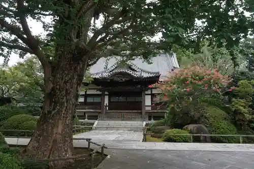 高円寺の本殿・本堂