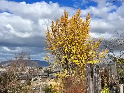 粟井神社(香川県)