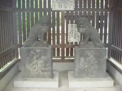 川口神社の狛犬