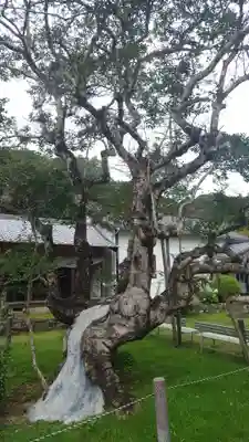 医王寺(愛知県)