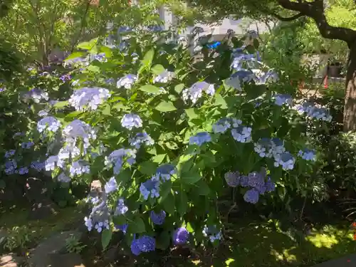 寶安寺（宝安寺）(神奈川県)