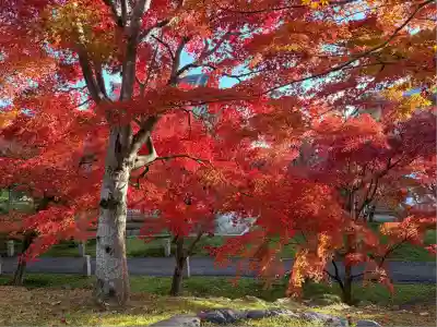  智積院(京都府)