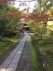 酬恩庵一休寺の建物その他