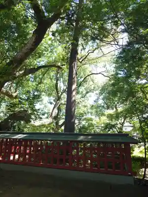 薦神社(大分県)