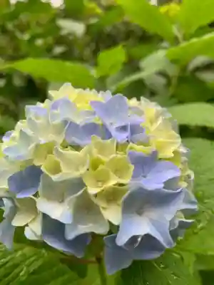 長谷寺(奈良県)