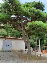 賀茂神社(岩手県)