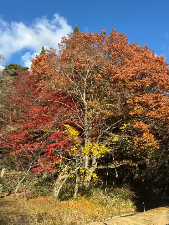 土津神社|こどもと出世の神さま(福島県)