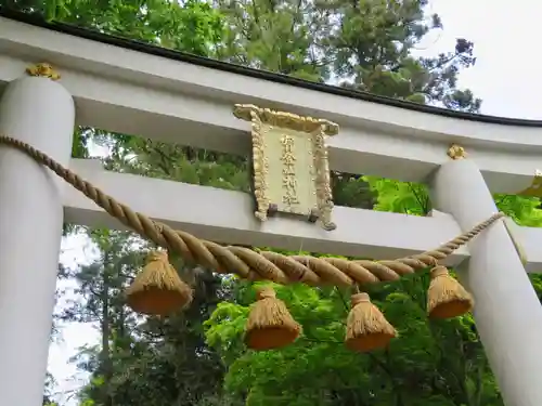 宝登山神社の鳥居