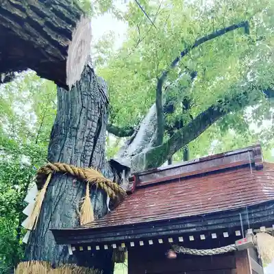 堀越神社のその他建物