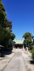 上平井天祖神社の本殿