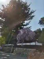 安楽寺の山門・神門