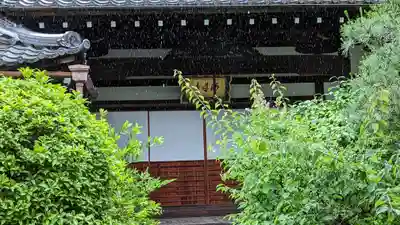 西導寺(京都府)