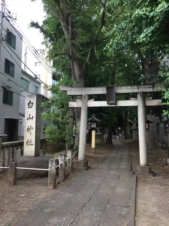 荻窪白山神社の鳥居