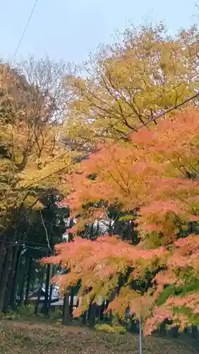 雨引千勝神社(茨城県)