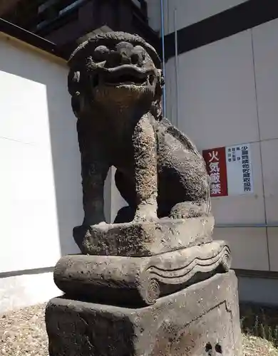 北見神社の狛犬