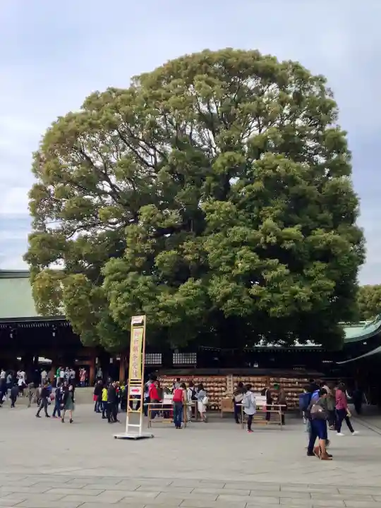 明治神宮(東京都)