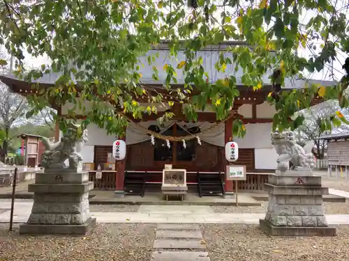 結城諏訪神社の本殿・本堂