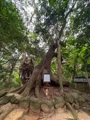 住吉神社(山口県)