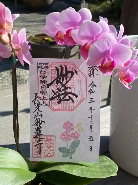 妙蓮寺の御朱印