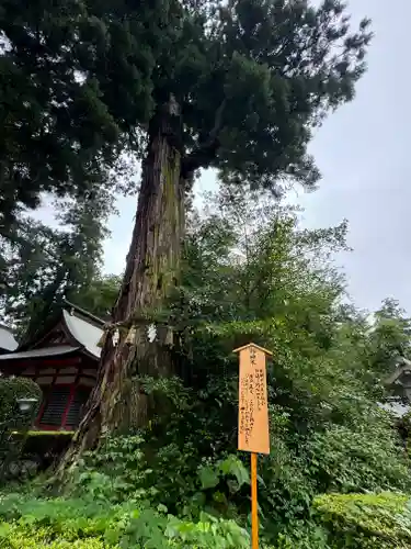 香取神宮(千葉県)